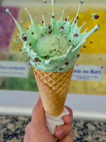 Gelado-Mania-Sorvete.png